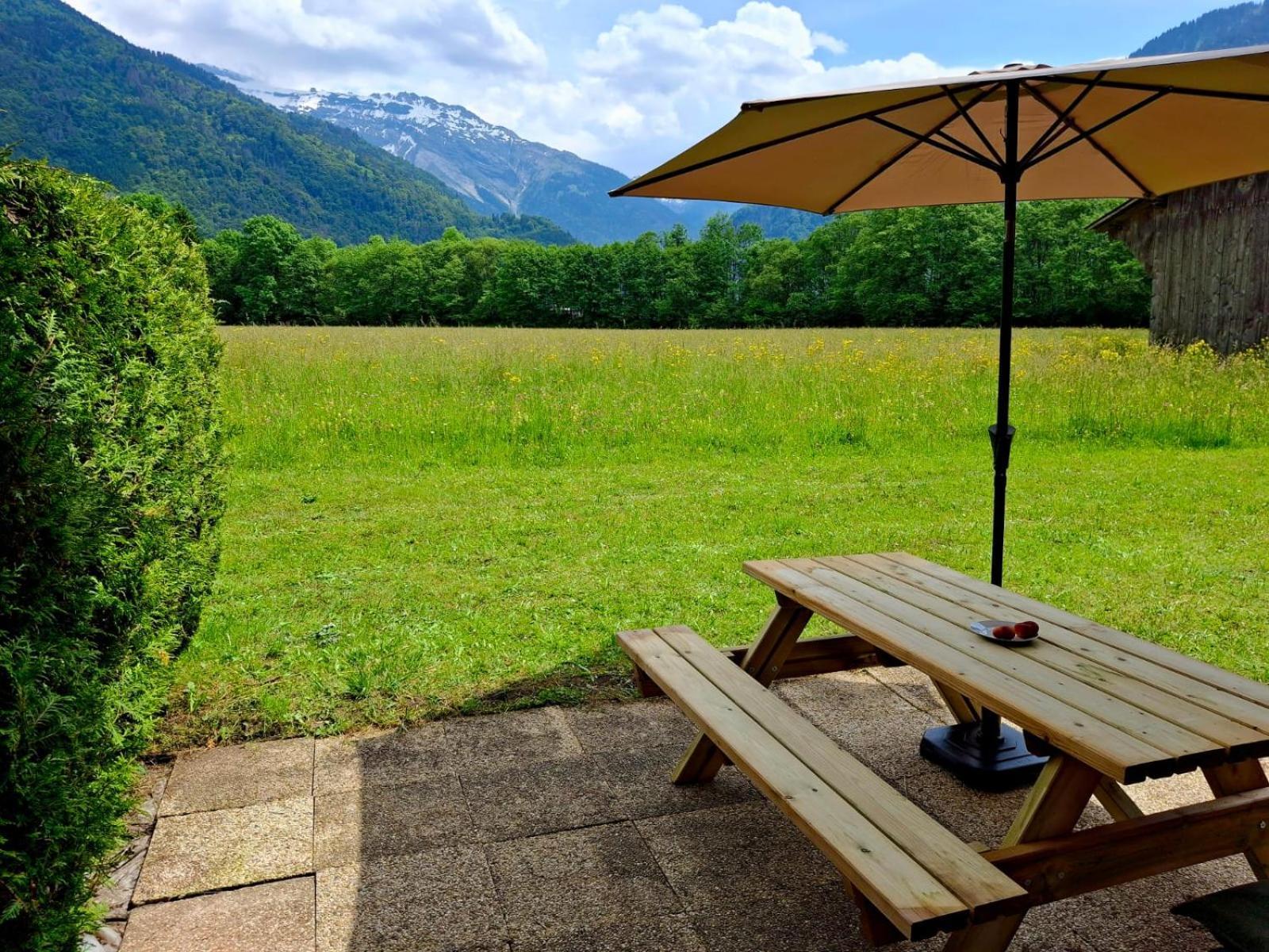 Appartement Renove T2, Vue Montagne Samoens Exterior photo
